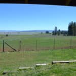 Photo 47 for Foothill Ranch