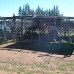 Photo 88 for Foothill Ranch