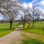 Photo 5 for Fall Run Ranch