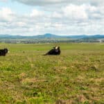 Photo 13 for Fall Run Ranch