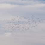 Photo 18 for Fall Run Ranch