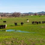 Photo 12 for Fall Run Ranch