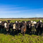 Photo 3 for Fall Run Ranch