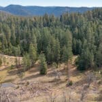 Photo 6 for Highway 88--Pioneer Development Opportunity