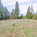 Photo 15 for Highway 88--Pioneer Development Opportunity