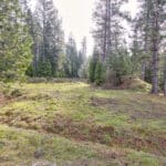 Photo 17 for Highway 88--Pioneer Development Opportunity