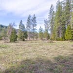 Photo 19 for Highway 88--Pioneer Development Opportunity