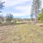 Photo 21 for Highway 88--Pioneer Development Opportunity