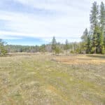 Photo 23 for Highway 88--Pioneer Development Opportunity