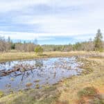 Photo 24 for Highway 88--Pioneer Development Opportunity