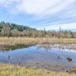 Photo 25 for Highway 88--Pioneer Development Opportunity