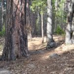 Photo 10 for Park Avenue