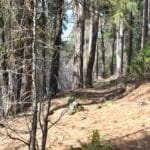 Photo 11 for Park Avenue