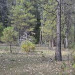 Photo 13 for Park Avenue