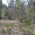 Photo 15 for Park Avenue