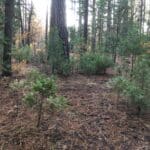 Photo 16 for Park Avenue