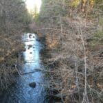 Photo 17 for Park Avenue