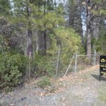 Photo 18 for Park Avenue