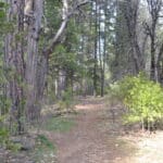 Photo 2 for Park Avenue