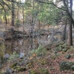 Photo 3 for Park Avenue