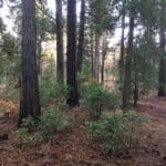 Photo 5 for Park Avenue