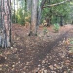 Photo 6 for Park Avenue