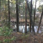 Photo 1 for Park Avenue