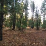 Photo 7 for Park Avenue