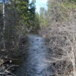 Photo 8 for Park Avenue