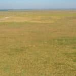 Photo 8 for Allensworth Village 529 acres