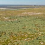 Photo 14 for Allensworth Village 529 acres