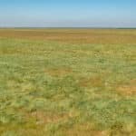 Photo 19 for Allensworth Village 529 acres