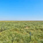 Photo 23 for Allensworth Village 529 acres