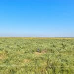 Photo 24 for Allensworth Village 529 acres