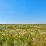 Photo 26 for Allensworth Village 529 acres