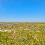 Photo 29 for Allensworth Village 529 acres