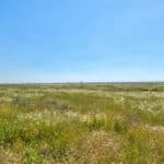 Photo 30 for Allensworth Village 529 acres