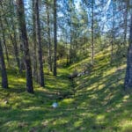 Photo 9 for Trembath Mountain Creekside