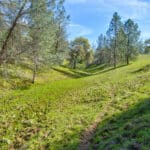 Photo 10 for Trembath Mountain Creekside