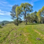 Photo 13 for Trembath Mountain Creekside