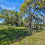 Photo 14 for Trembath Mountain Creekside