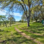 Photo 15 for Trembath Mountain Creekside