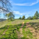 Photo 17 for Trembath Mountain Creekside