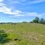 Photo 21 for Trembath Mountain Creekside