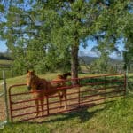 Photo 1 for Trembath Mountain Vista