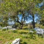 Photo 86 for Trembath Ridgetop Ranch