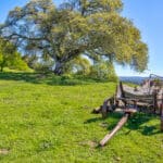 Photo 90 for Trembath Ridgetop Ranch