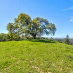 Photo 94 for Trembath Ridgetop Ranch