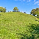 Photo 96 for Trembath Ridgetop Ranch