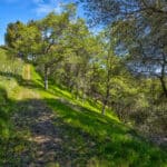 Photo 97 for Trembath Ridgetop Ranch